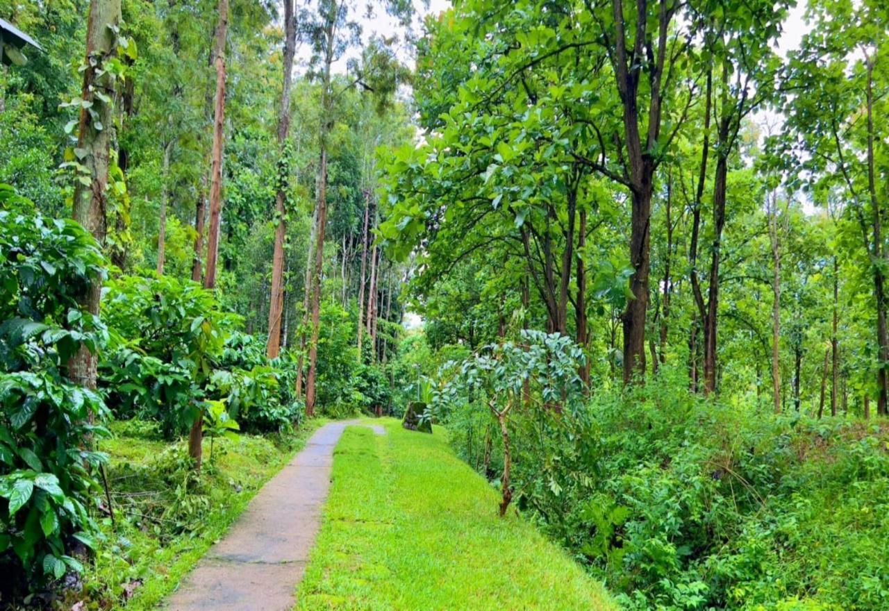 Adrak Mountain Mist Forest Resort Pulpally Exterior photo